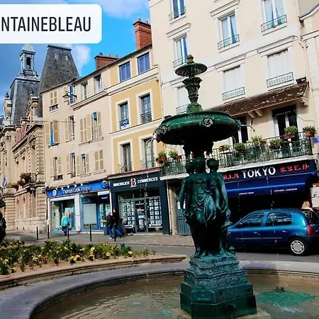 Royal By Beds4wanderlust - Place Du Marche Avec Parking Prive Apartment Fontainebleau